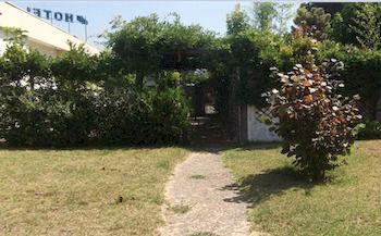 Ribeirotel Albergaria-a-Velha Exterior foto